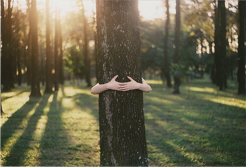 treehug.jpg